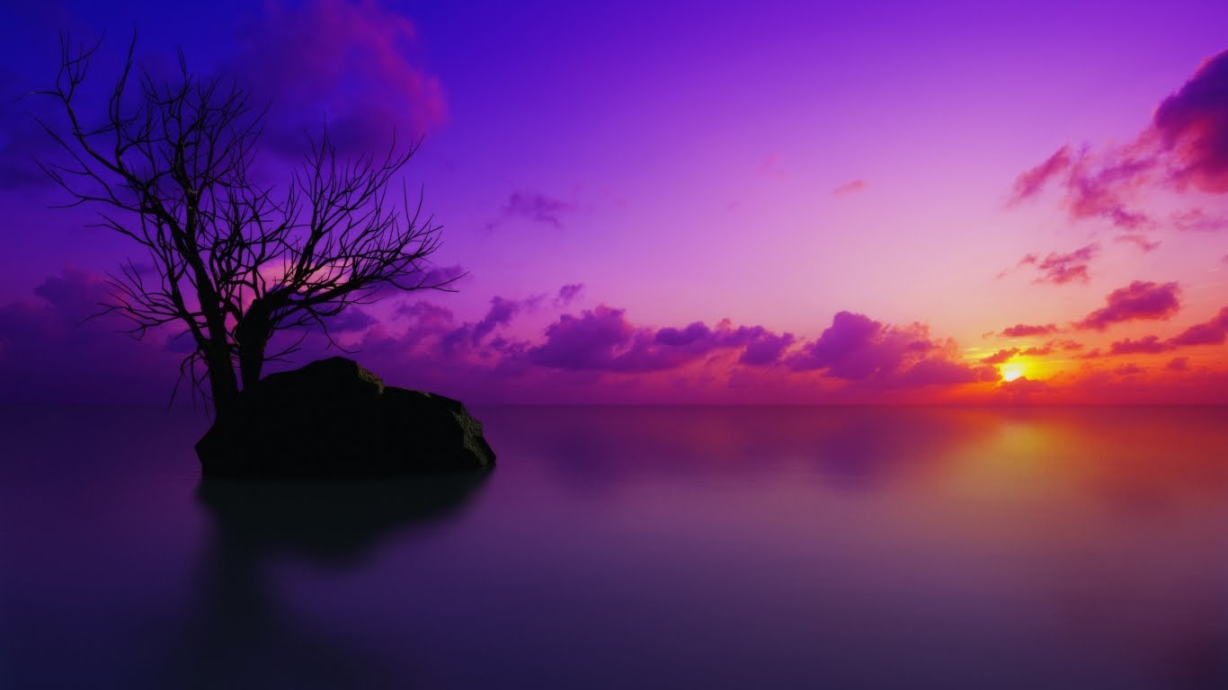 https://blogger.googleusercontent.com/img/b/R29vZ2xl/AVvXsEg0maxH1VHGDrQczyUdaUGUY3hyphenhyphenBl1lGiQUbAEFzVCtV58YT2AxKhzIBH3Ri7QgXRat4kw1t5ls1qfdRyK2NNvbw5dSFNyZLhPtxWxodbiY_CHZAeSXEhMhUcX2Un3xWq9xXcUCVQOSf7Ko/s1600/Maldivian+Sunset.jpg