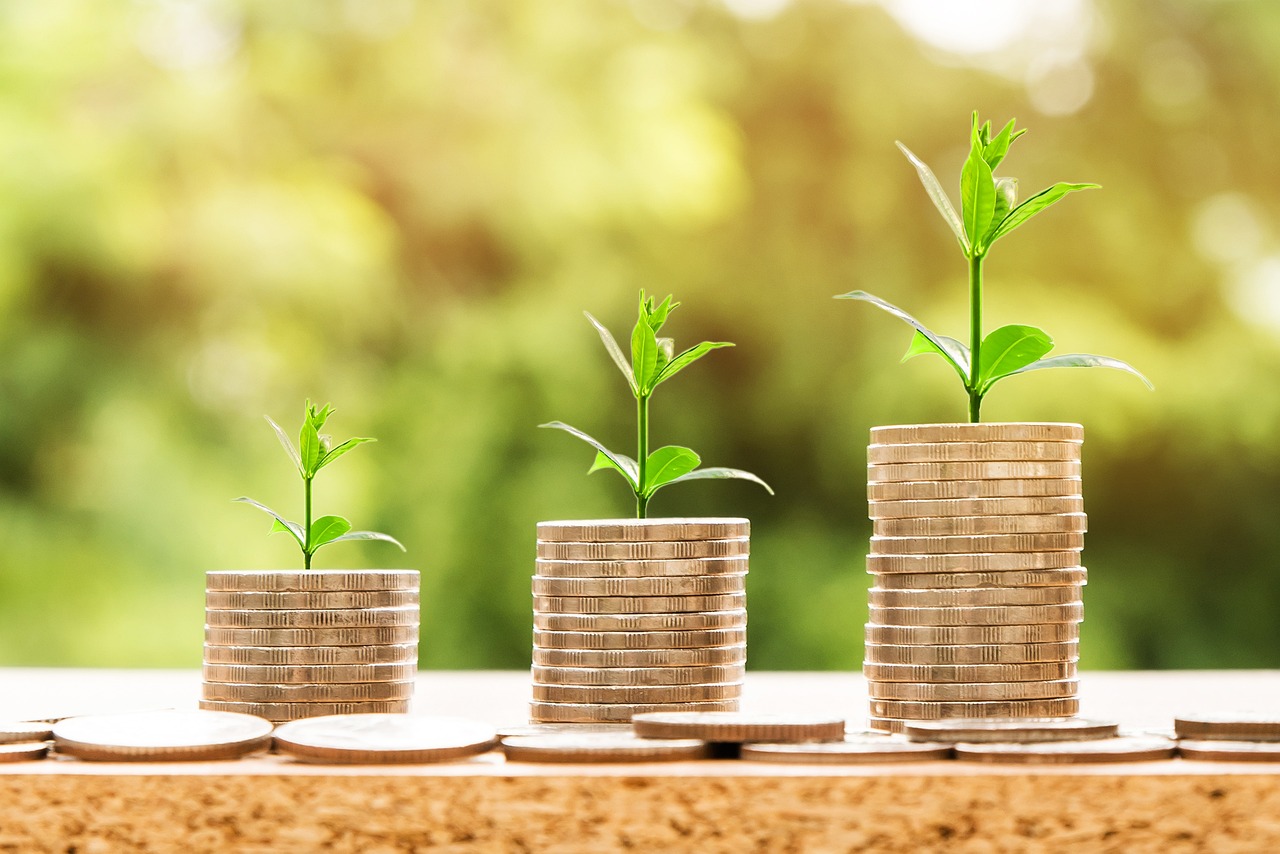 What is the Basics of Investments