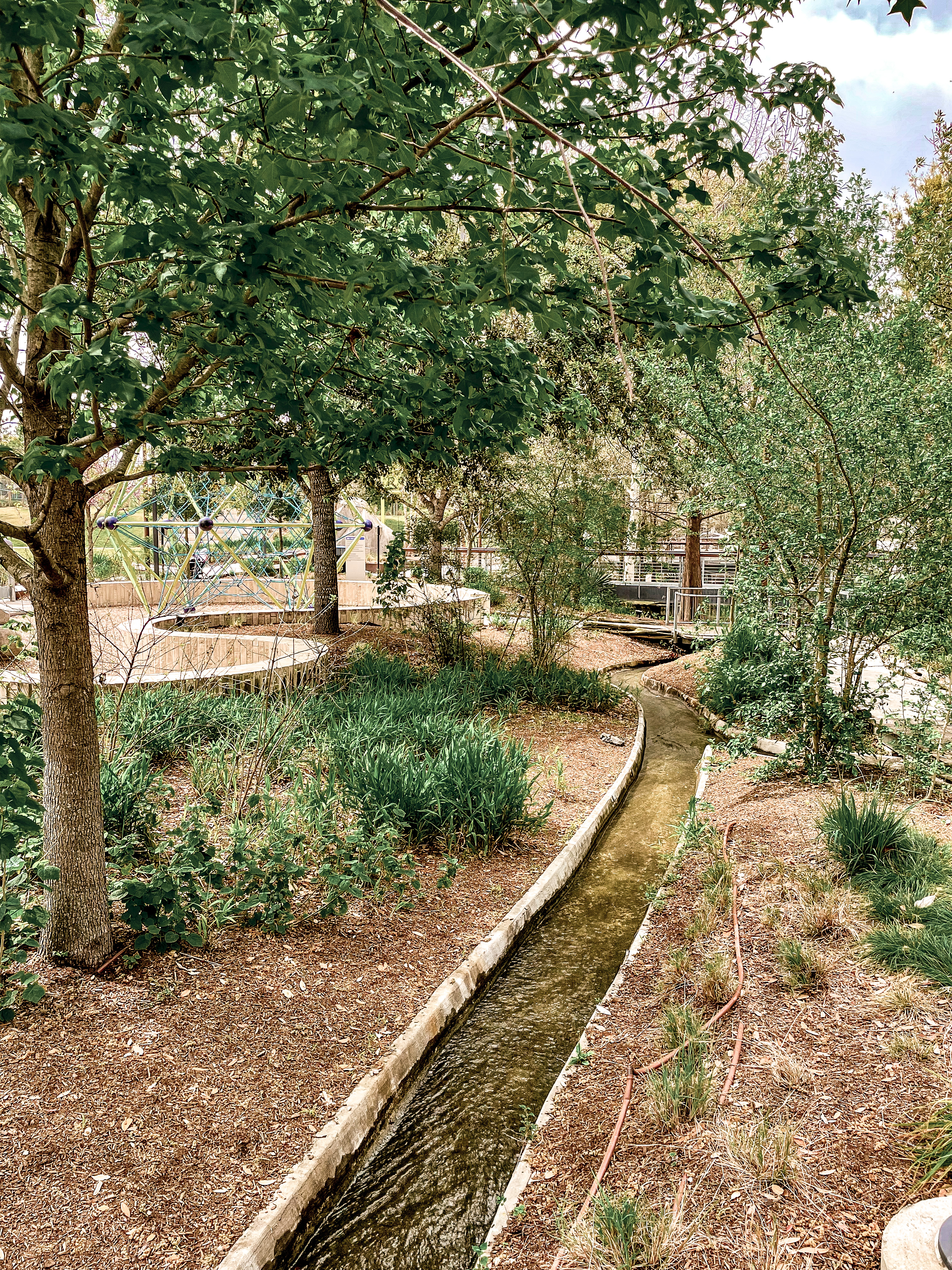 Nature Walk at Midtown Park