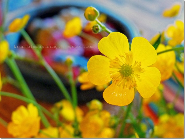 beauty is where you find it - MELLOW YELLOW