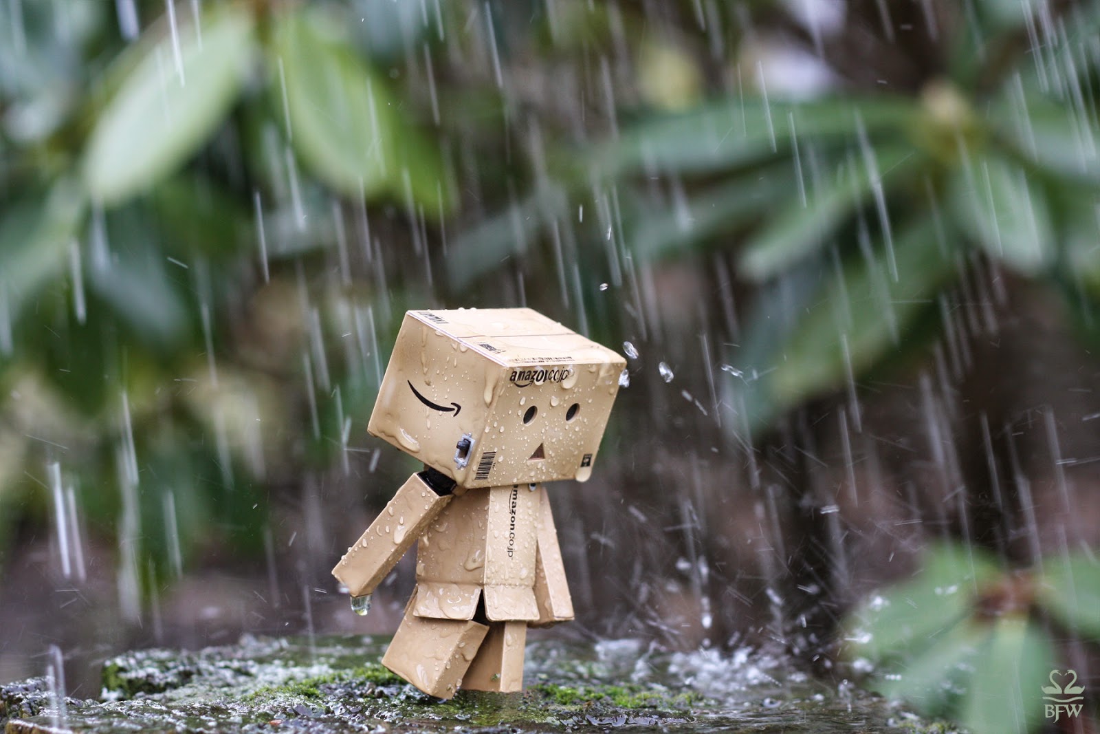 Trending Hari Ini Wallpaper Danbo Galau