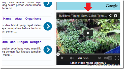 Contoh Video YouTube Yang Disematkan Pada Blog Eltelu