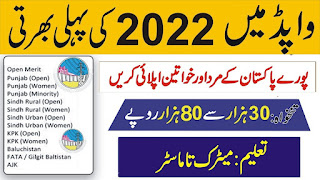 WAPDA Jobs for Matric Pass - WAPDA Online Jobs 2022 - WAPDA New Jobs 2022 - www.pts.org.pk - PTS WAPDA Jobs 2022