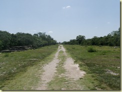 P7290647