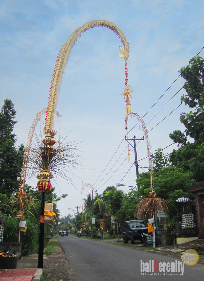  Penjor  Galungan All About Bali  and Indonesia