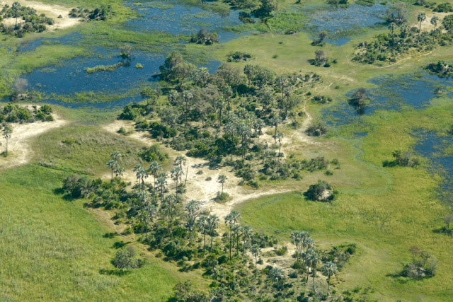 Botswana, Okavango Delta, rieviermonding, Afrikaans landschap, Afrika, Zuidelijk Afrika, groen, safari, wildlife, 