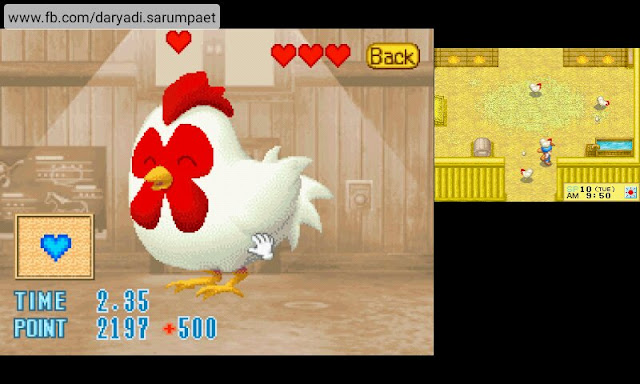 harvest moon ds nds game minigame chicken