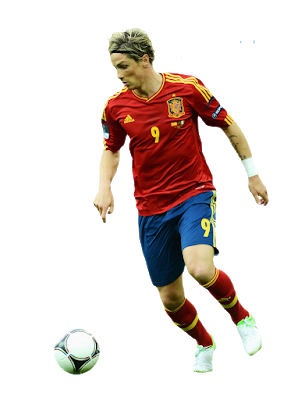 Photo of Fernando Torres - Spain