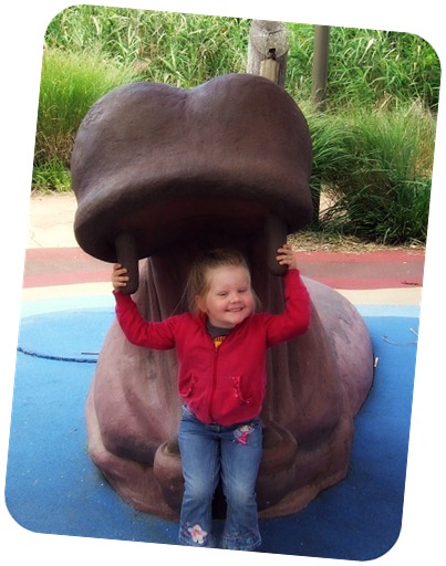 hippo