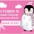 8th Moonwalk for Breast Cancer Awareness rescheduled on Oct.18, 2011