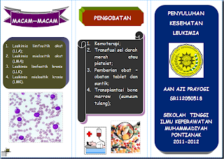 Anira Forever ♥: Contoh Leaflet Leukimia