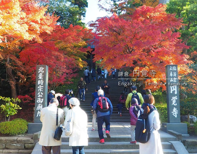 円覚寺･総門の紅葉