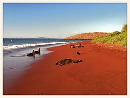 La maravillosa playa de arena roja