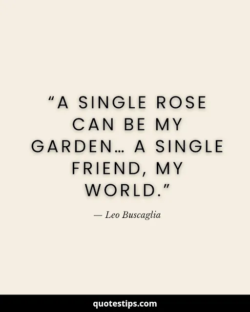 Leo Buscaglia quote about a friend being like a rose – QuotesTips.com