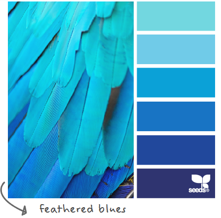 http://design-seeds.com/index.php/home/entry/feathered-blues