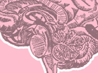 Pengobatan Stroke Non Hemorrhagic