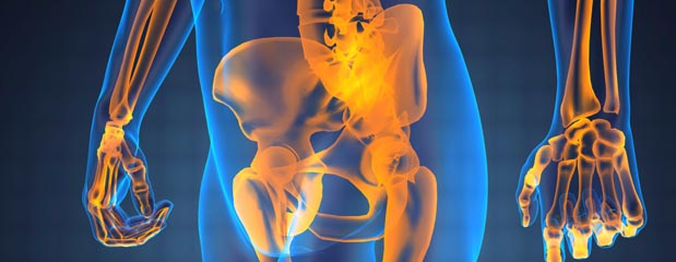 Artificial Hip Joint Market