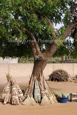 africa brooms