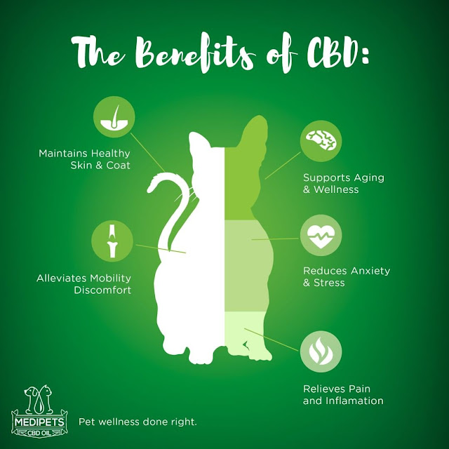 The Benefits Of Giving Your Pet CBD Oil By Barbies Beauty Bits and Medipets