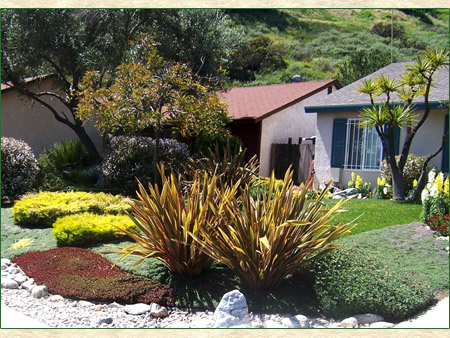 Xeriscape Landscape Design | Landscape Design