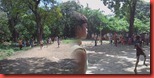 Photo0085