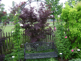 Prairie Rose's Garden: Ideas Galore in the Idea Garden