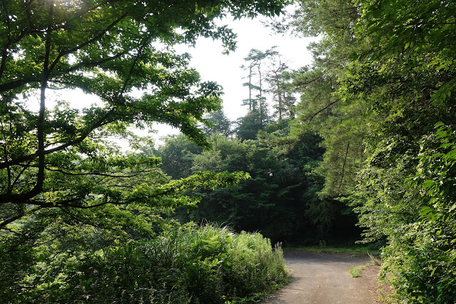 大山平原ゴルフクラブの裏道