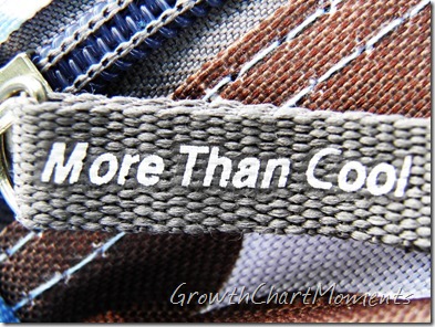 It's....More than Cool