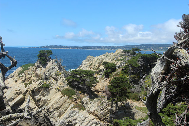 Point Lobos State Reserve, Cypress Trail, Headland Cove, Cypress Cove