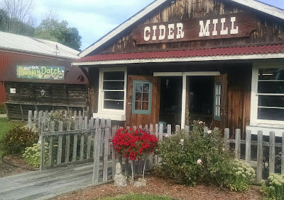 Cider Mills and Orchards You'll Want to Visit This Fall 