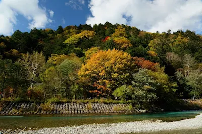 梓川対岸を望む