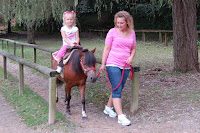 Safe, fun pony rides