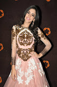 Kanika Kapoor glamorous photos-thumbnail-25