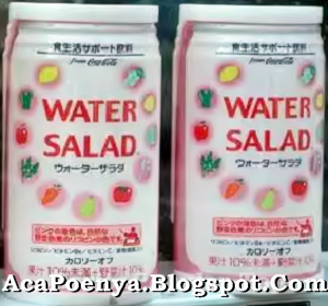 Air Rasa Salad