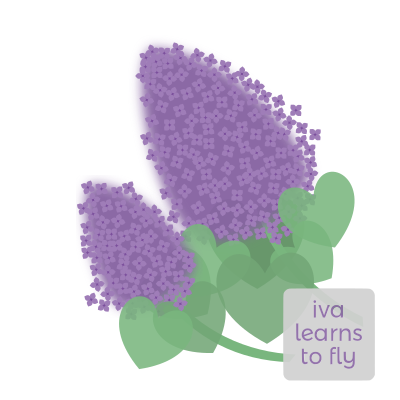 Mother-approved lilacs, purple with green heart-shaped leaves