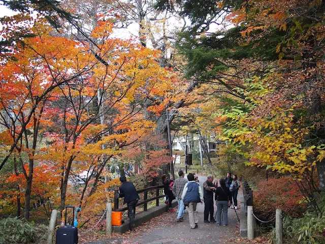 日本ロマンチック街道　竜頭の滝
