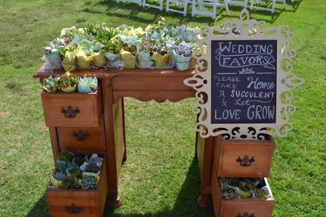 eco-friendly-barn-wedding-favor-succulant-plants