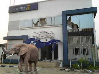 Breaking; Mysterious Elephant Appears In First Bank Lagos – Swallows 125Million (Live)