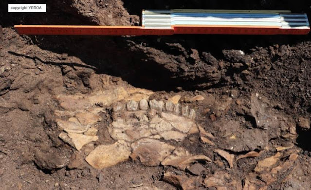 Κατοίκηση 700.000 χρόνων βρέθηκε στην Μεγαλόπολη Αρκαδίας!