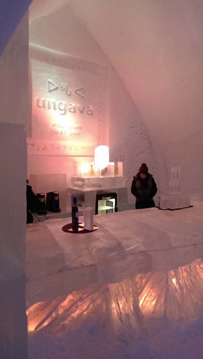 A bar made entirely of ice sounds perfect to me.