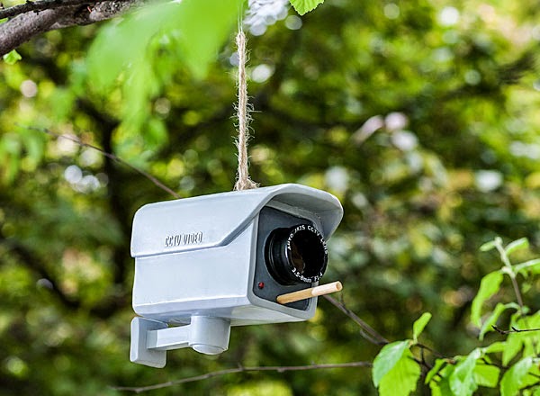 Security Camera Bird feeder | Spicytec