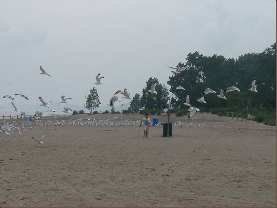Port Stanly ON
