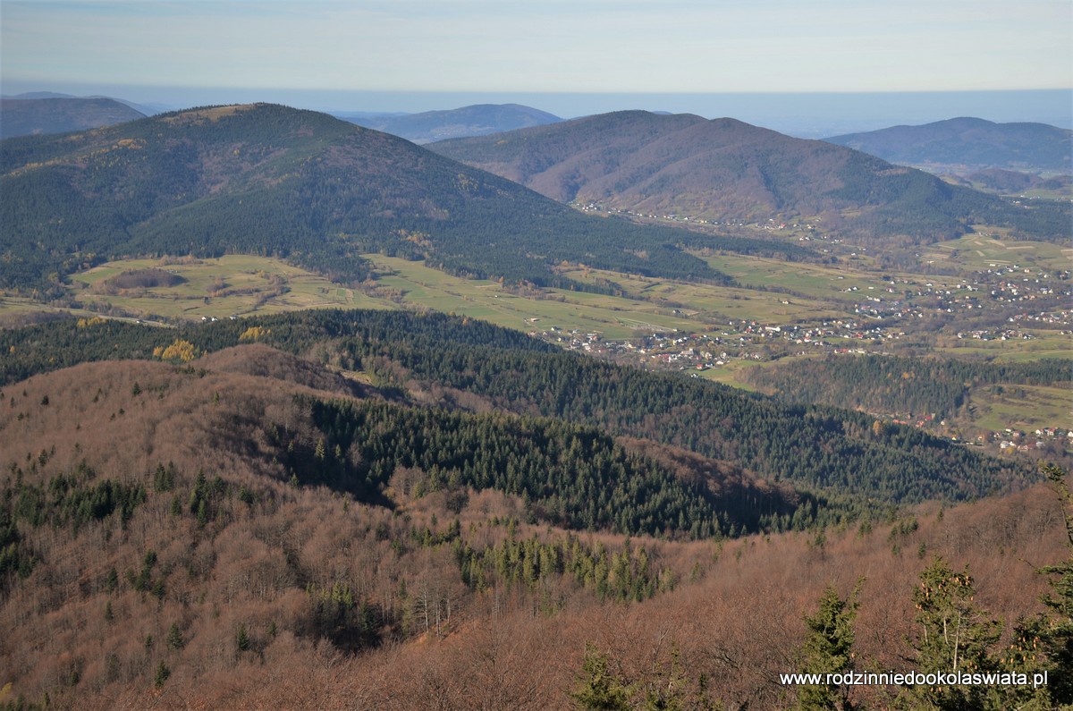 Mogielica z Zalesia- Wyrębiska