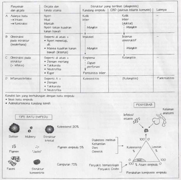 Diagram Penyakit batu empedu, gejala, tanda, sign symptoms, tipe batu dan penyebabnya, klasifikasi, pembagian, patofisiologi, patogenesis, jenis-jenis, etiologi, komposisi kolesterol, batu pigmen, batu campuran, tipeMulberry, adenokarsinoma kandung kemih, ileus, obstruksi, striktur, ikterus, kolangitis, massa kuadran kanan bawah atas