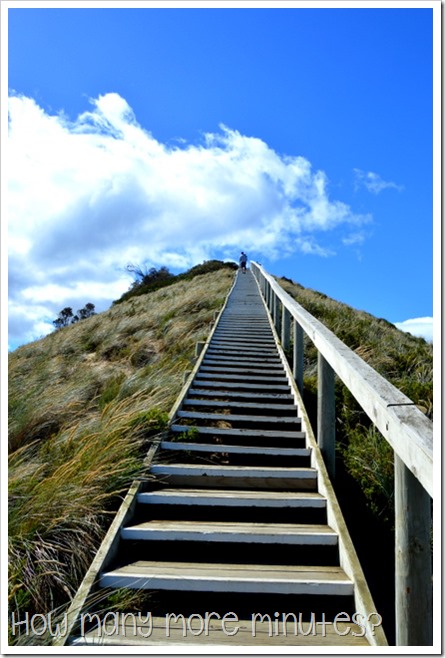 Bruny Island: The Neck~How Many More Minutes?