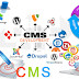CMS Development Services  in Rawalpindi