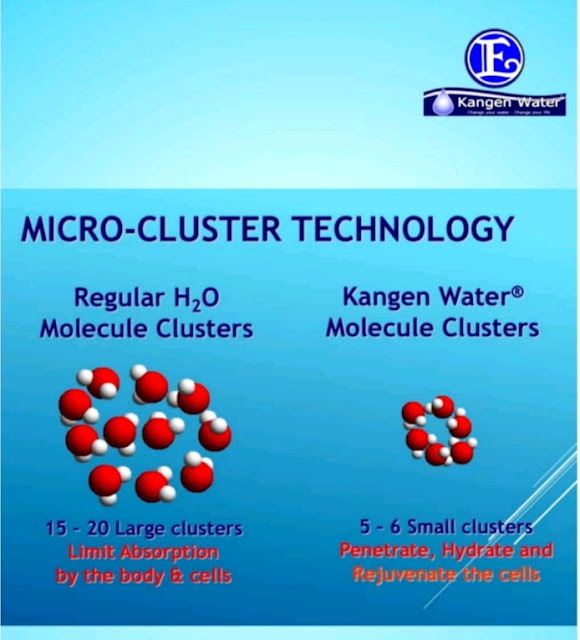 Kangen Miracle Water, kangen water machine, kangen water price, kangen water benefits, miracles of kangen water, kangen water indore