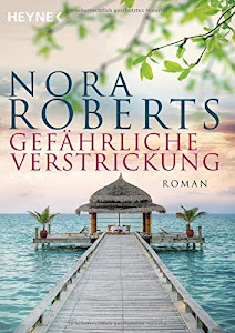 Gefährliche Verstrickung: Roman