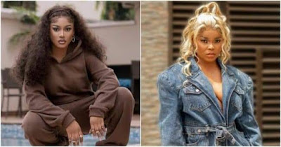 Chichi slams fellow reality TV star Phyna with N100m lawsuit over 'slanderous' allegations on BBNaija reunion