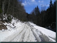 DSCN6267